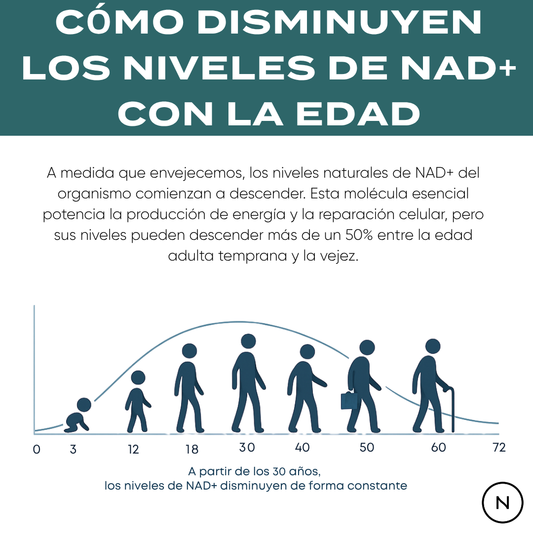 NAD y NMN