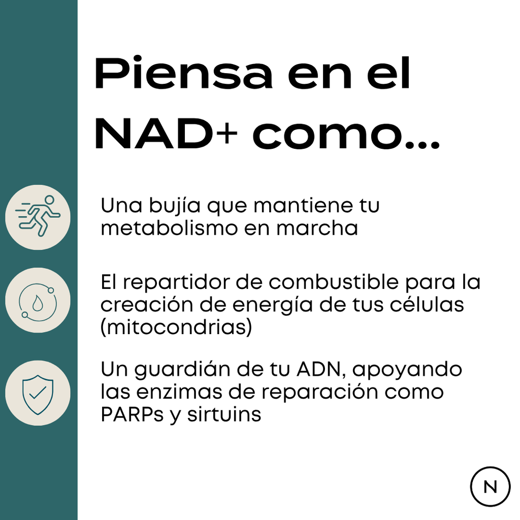 Suplemento NAD (NR) de Naturecan