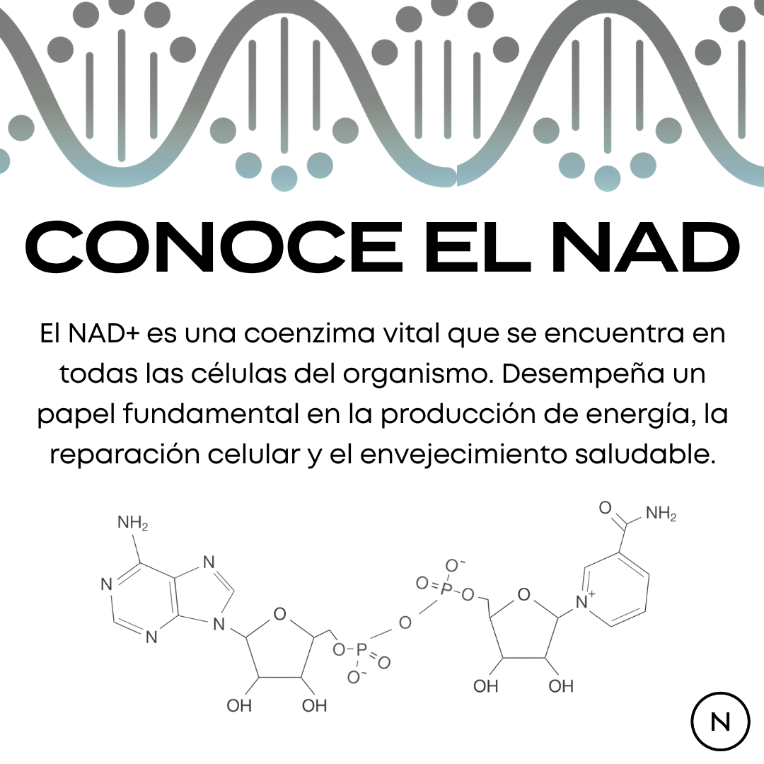 Suplemento NAD (NR) de Naturecan