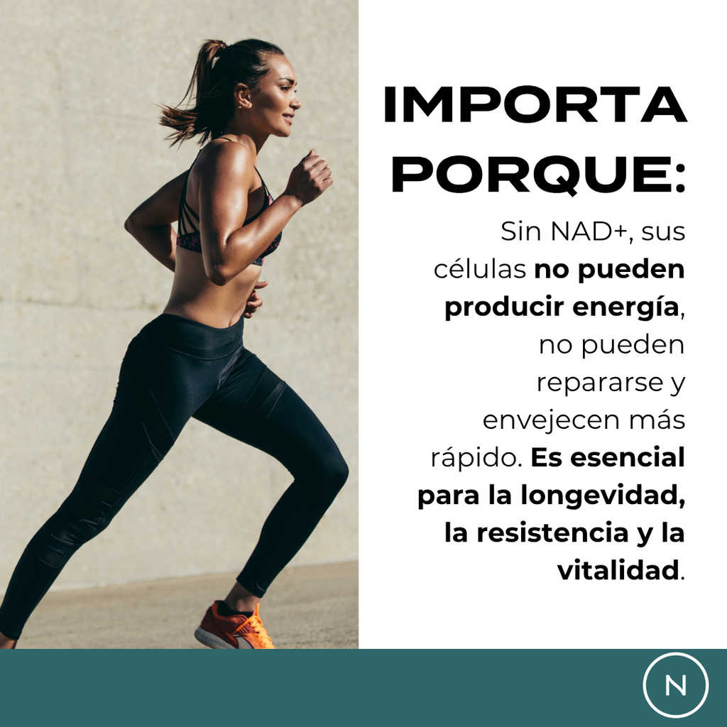 Suplemento NAD (NR) de Naturecan